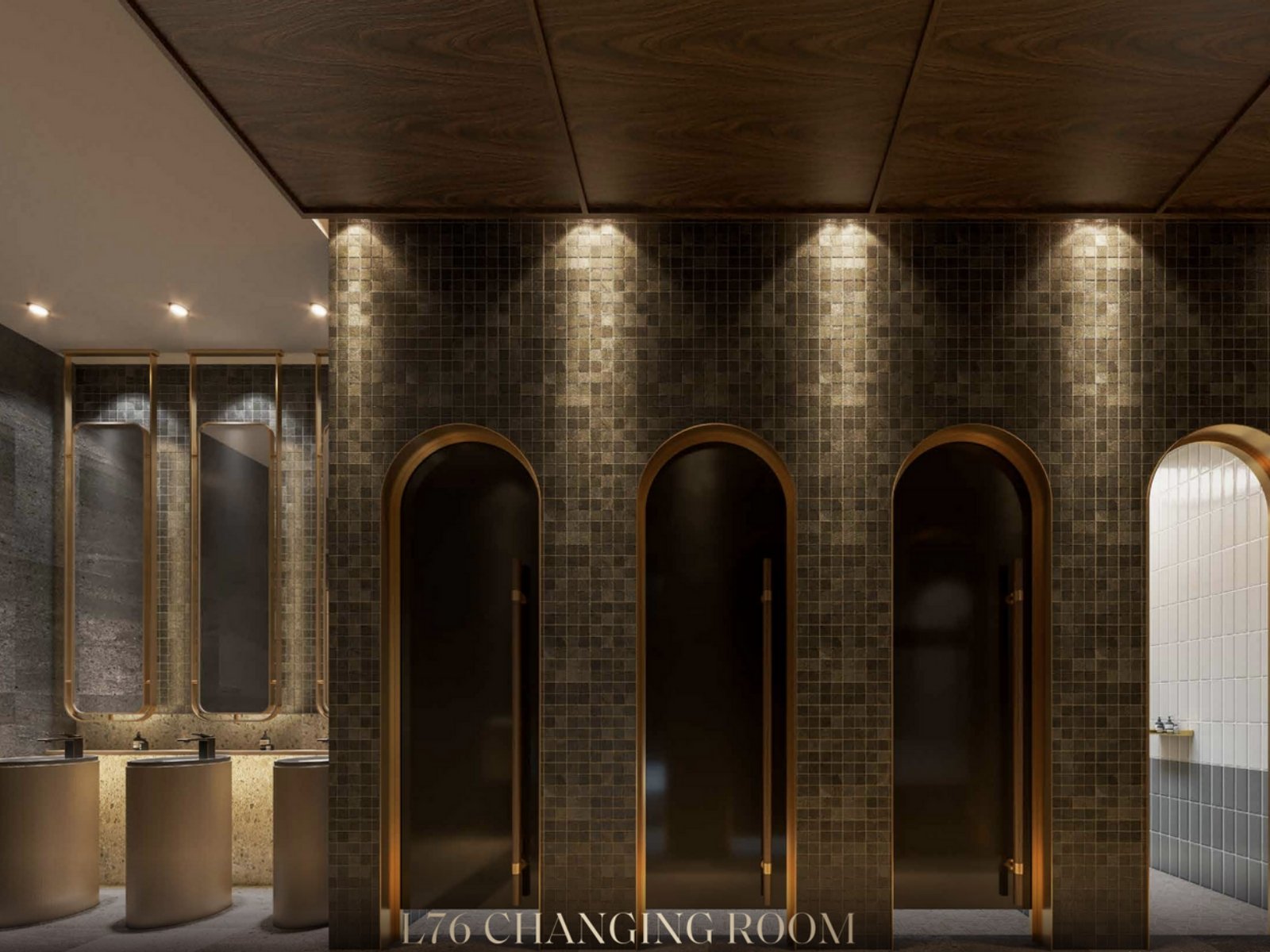 ARMANI HALLSON BROCHURE_pages-to-jpg-0035